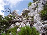 The Kot Valley - Rušnata Mlinarica