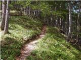 The Kot Valley - Rušnata Mlinarica