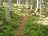 The Kot Valley - Rušnata Mlinarica