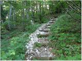 Nevejski preval - Velika Bavha / Monte Robon