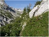 Rifugio Gilberti - Velika Bavha / Monte Robon