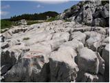 Rifugio Gilberti - Speleološki bivak Modonutti - Savoia