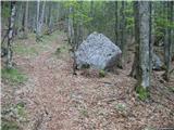 Kokra (Podlebelca) - Planina Dolga njiva (Krvavec)