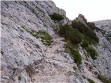 Dom na Gospincu - Vrh Korena
