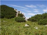 Kriška planina - Kalški greben