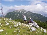 Kriška planina - Vrh Korena