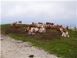 Kriška planina - Veliki Zvoh