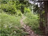 Bottom station of cableway on Krvavec - Dom na Gospincu (Hotel Rozka)