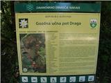 Dolina Drage - Dolina Drage