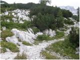 Sella Nevea - Rifugio Gilberti