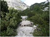 Sella Nevea - Rifugio Gilberti