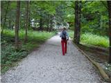 Hotel Plesnik - The Palenk waterfall