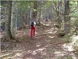 Hotel Plesnik - Icmanikova planina