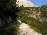 Rifugio Selvapiana I.Lunelli - Rifugio Berti al Popera