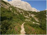 Rifugio Selvapiana I.Lunelli - Croda Sora I Colesei / Arzalpenkopf