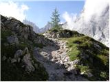 Rifugio Selvapiana I.Lunelli - Croda Sora I Colesei / Arzalpenkopf