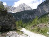 Rifugio Selvapiana I.Lunelli - Croda Sora I Colesei / Arzalpenkopf