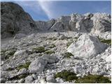 Zadnja Trenta (Flori) - Bavški Grintavec