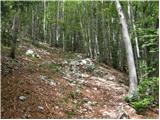 Soča - Planina nad Sočo