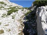 Planina Ravne - Jamarski bivak na Dleskovški planoti