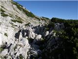 Planina Ravne - Jamarski bivak na Dleskovški planoti