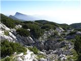 Planina Ravne - Jamarski bivak na Dleskovški planoti