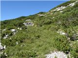 Planina Ravne - Molička peč