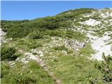 Planina Ravne - Jamarski bivak na Dleskovški planoti