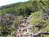 Planina Ravne - Jamarski bivak na Dleskovški planoti