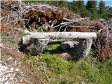 Planina Ravne - Jamarski bivak na Dleskovški planoti