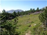 Planina Ravne - Jamarski bivak na Dleskovški planoti