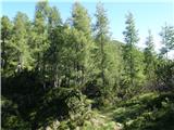 Planina Ravne - Križevnik