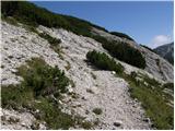 Pred Belo - Kocbekov dom na Korošici