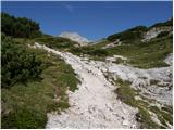 Pred Belo - Kocbekov dom na Korošici