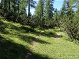 Planina Ravne - Jamarski bivak na Dleskovški planoti