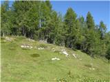 Planina Ravne - Križevnik