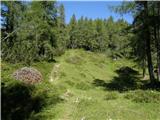 Planina Ravne - Planina Polšak