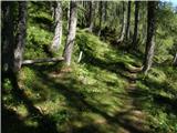 Planina Ravne - Planina Polšak