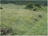 Planina Polog - Planina Medrja