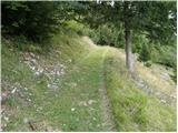 Planina Polog - Planina Medrja