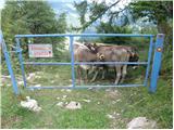 Planina Polog - Planina Laška seč