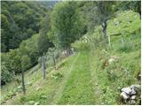 Planina Polog - Planina Črča