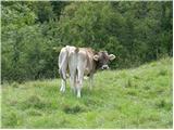 Planina Polog - Planina Sleme