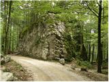 Žagana peč - Hunting cottage Črnevka