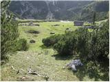 Pod Debelo glavo - Planina Poljana