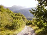 Drežniške Ravne - Planina Zaprikraj