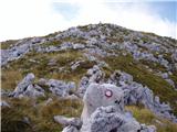 Planina Zapleč - Krasji vrh