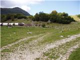 Planina Zapleč - Krasji vrh