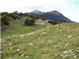 Planina Zapleč - Krasji vrh