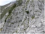 Drežnica - Krn